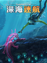 美国nike便宜